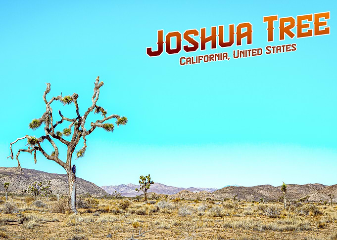 Joshua Tree National Park