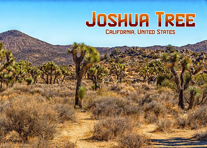 Joshua Tree National Park