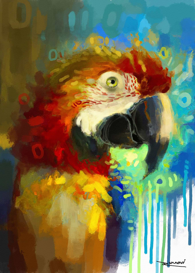 Catalina Macaw