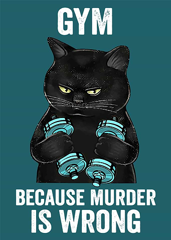 Gym Black Cat Murder Wrong