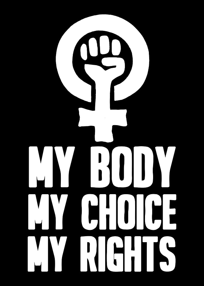 Feminism Feminist