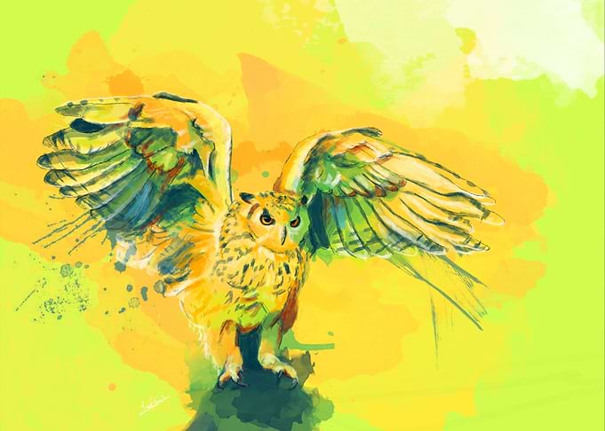 Silent Wings Owl