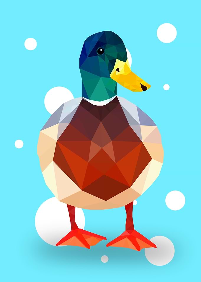 Mallard