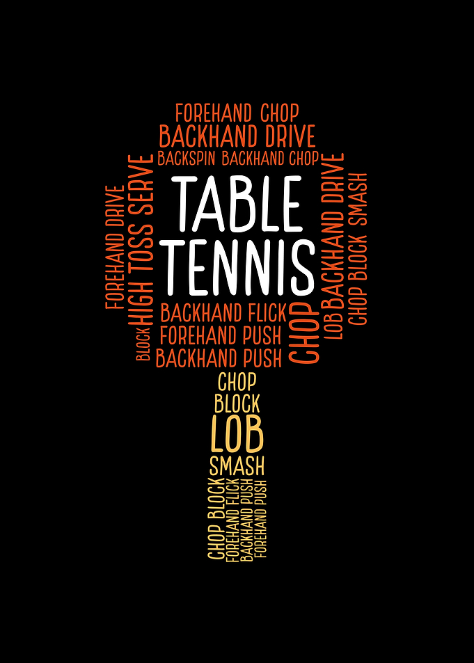 Table tennis paddle