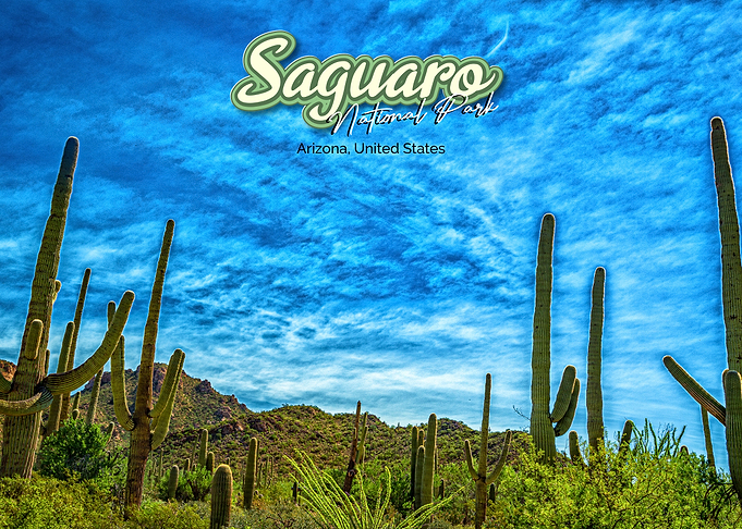 Saguaro National Park