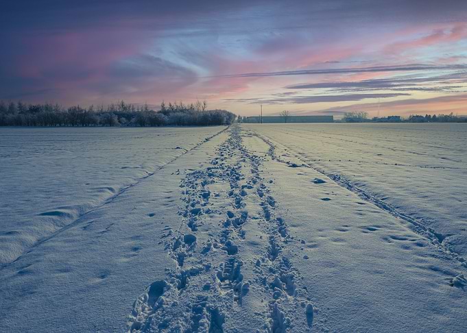 The winter way