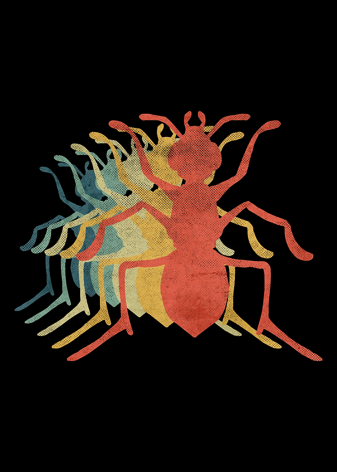 Ant Retro Vintage Color