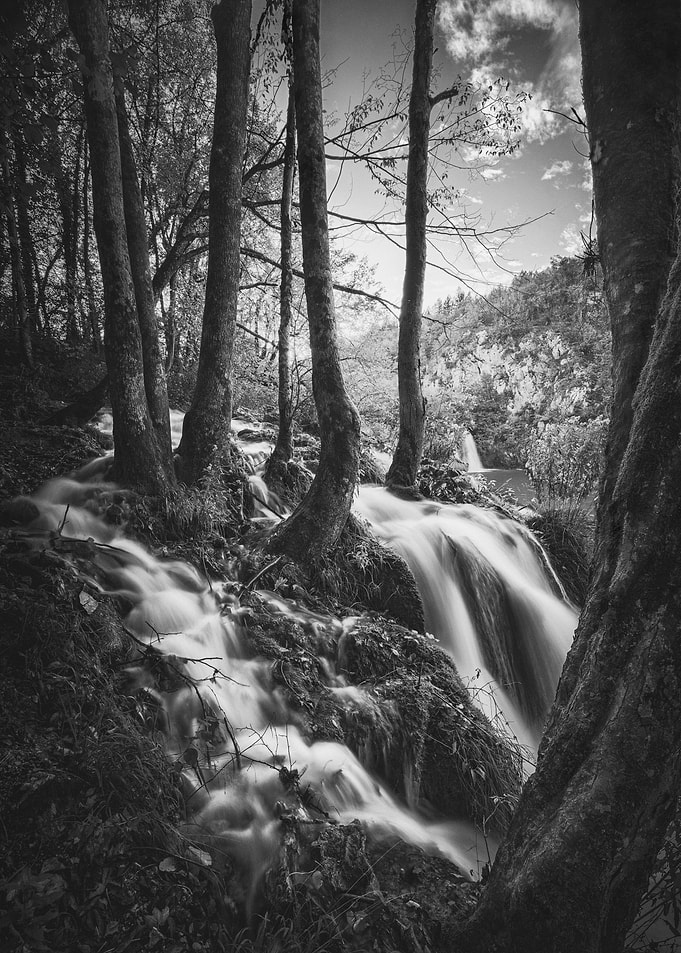 Rogue Stream