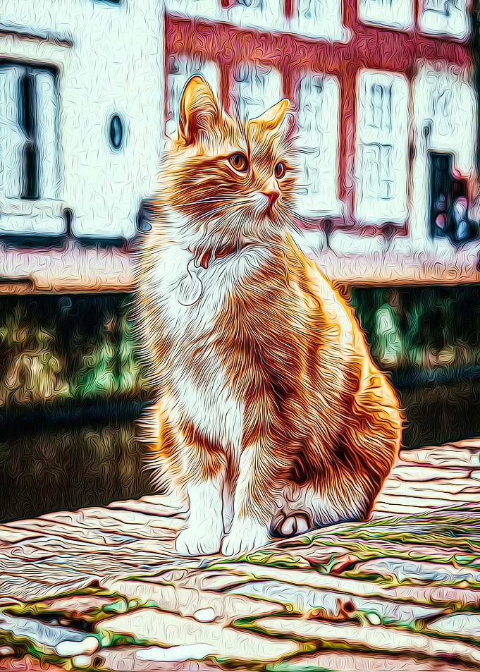 Cat