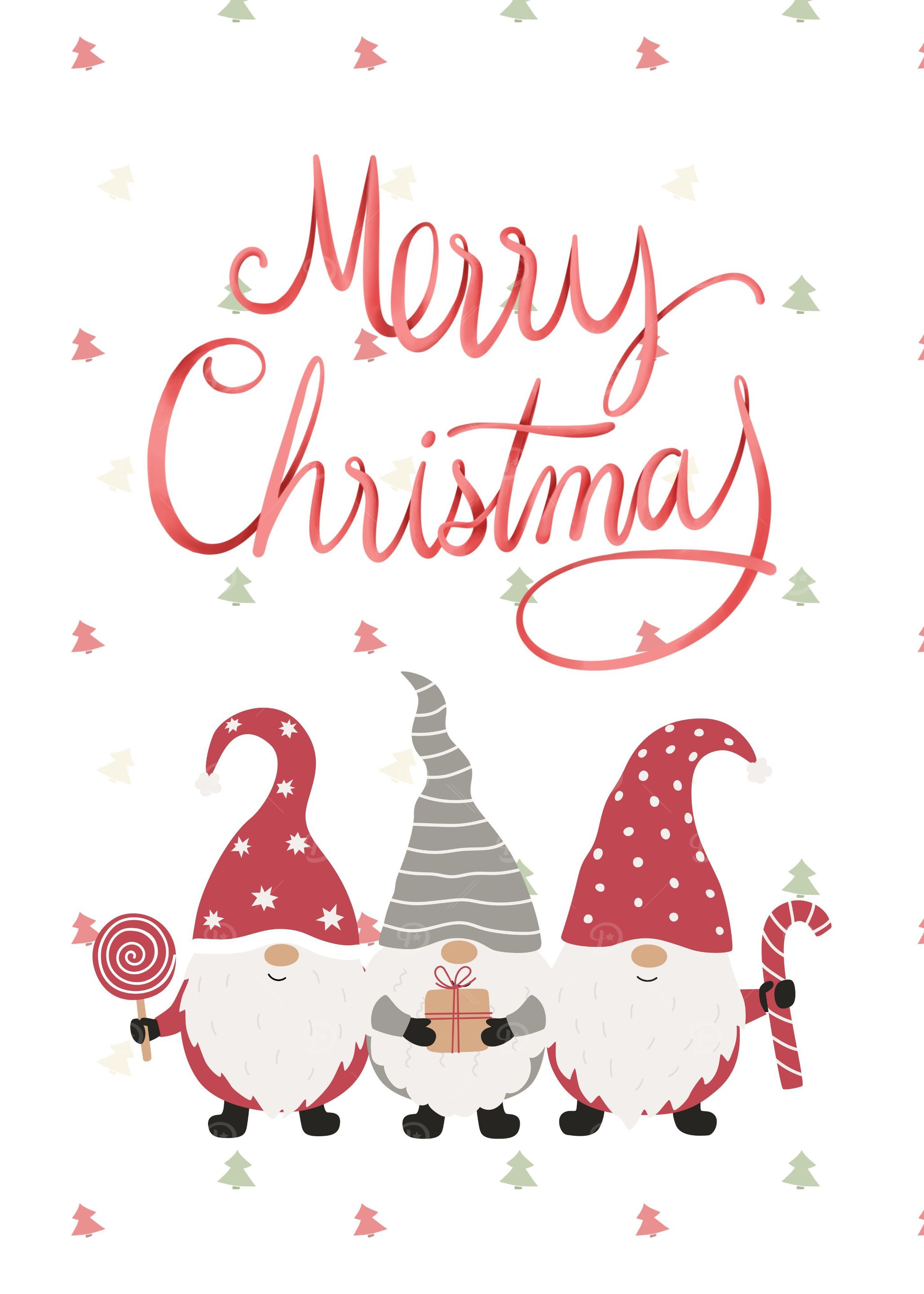 Merry Christmas Gnomes