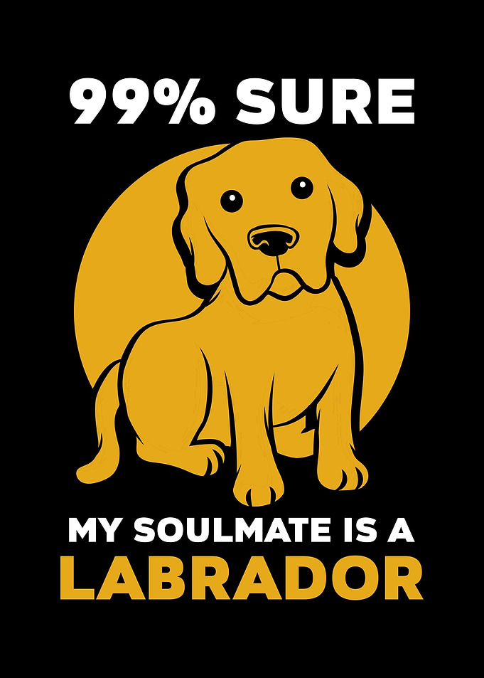 Labrador
