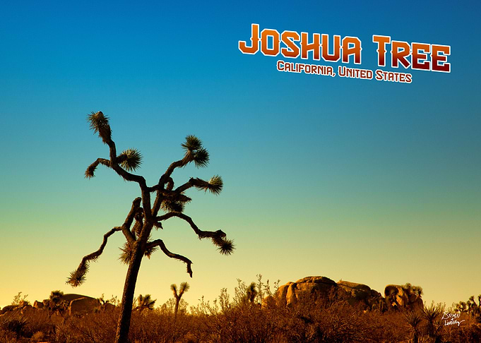 Joshua Tree National Park