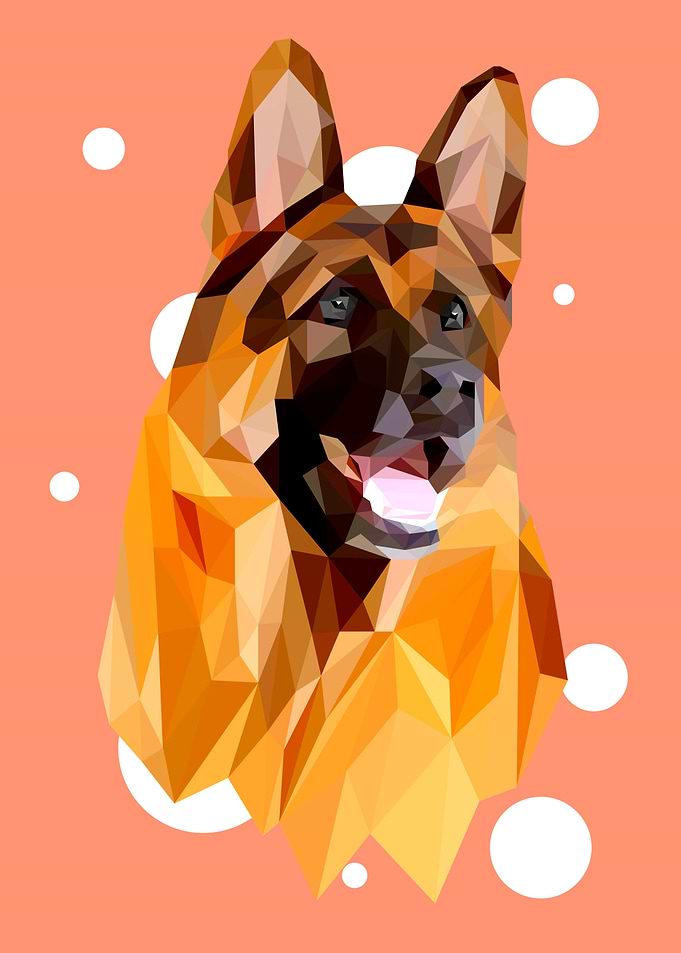 Shepherd