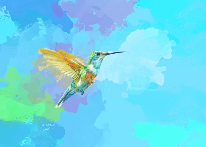 Colorful Hummingbird