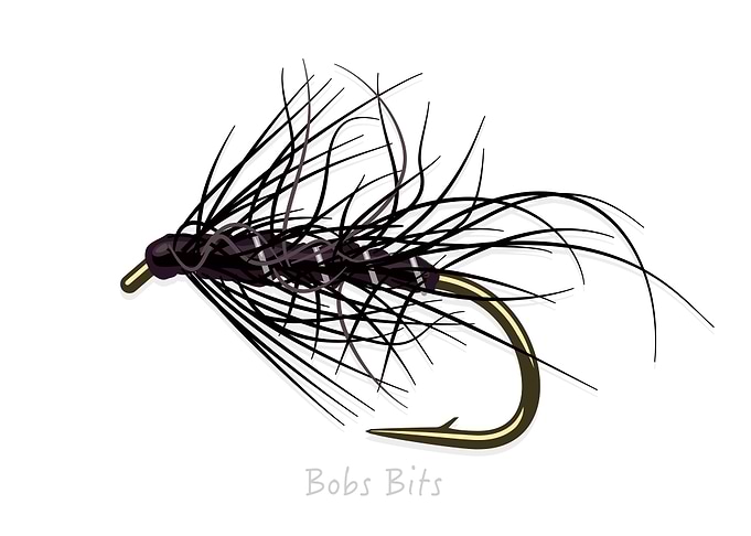 Fly Fishing Flies