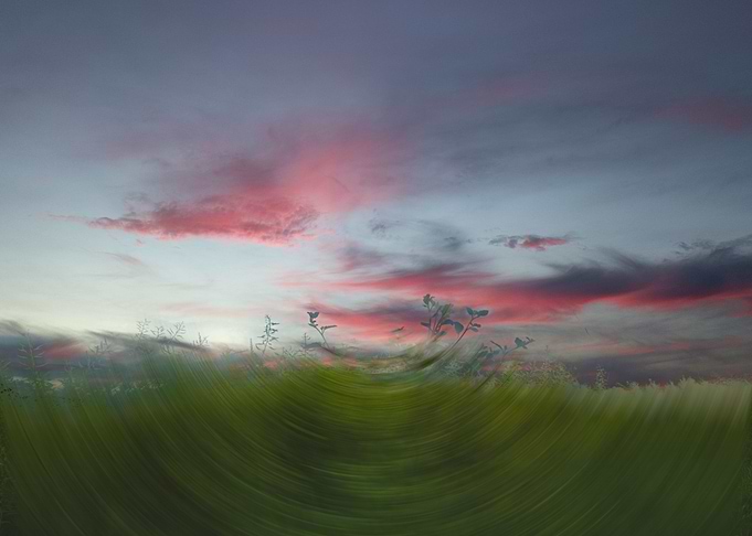 Field