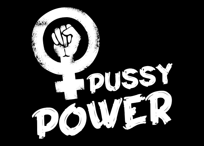 Feminism Feminist