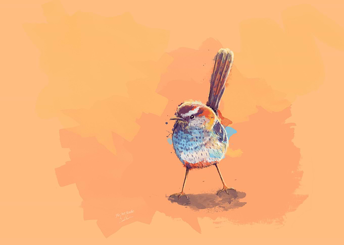 Cactus Wren Bird