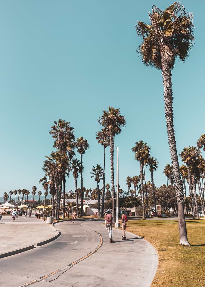 California Day Skating