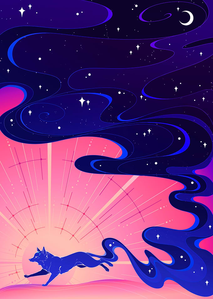 Midnight Fox