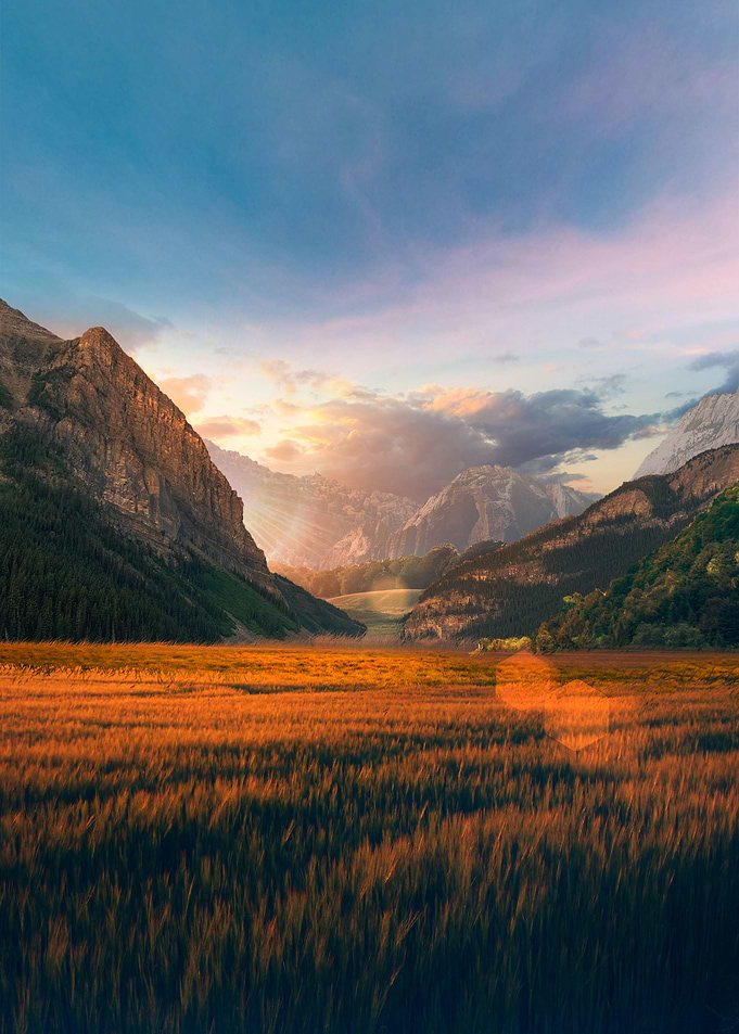 Sunset in the Fields