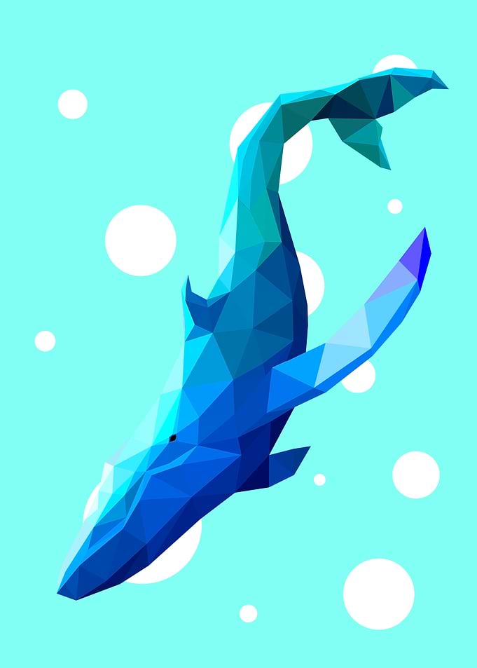 Whale