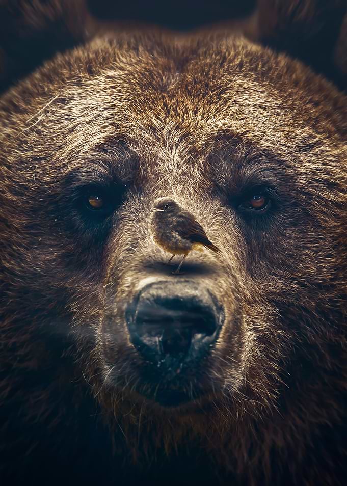 monster bear with bird