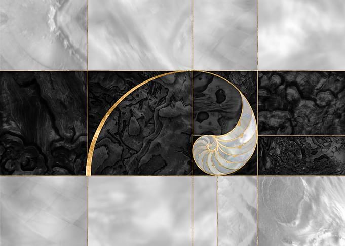 Nautilus Shell