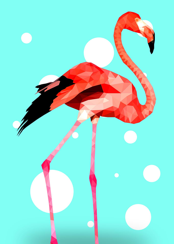 Flamingo