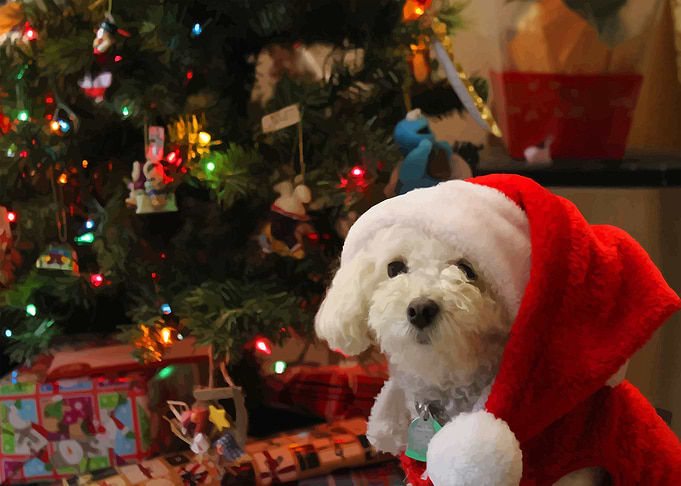 Christmas spirit
