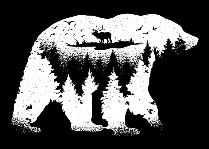 Bear Forest Landscape
