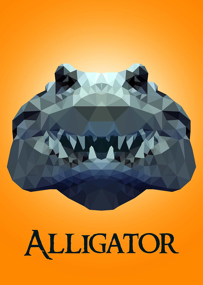 Alligator