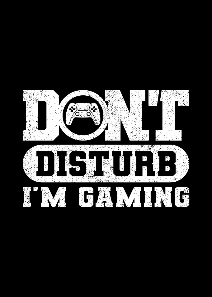 Dont Disturb Im Gaming