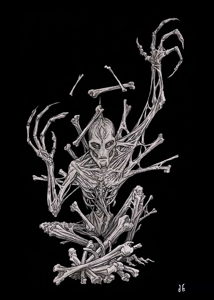 Bone Reader