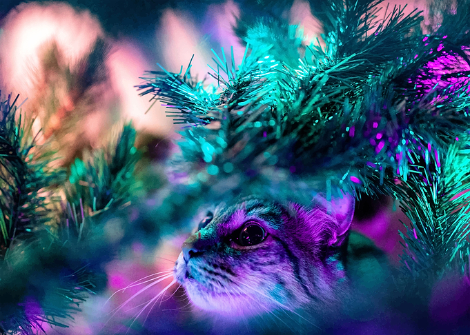 Christmas spirit