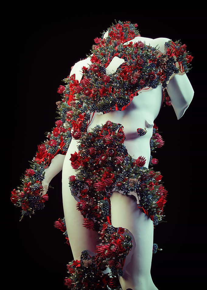 TORSO DE FLORA
