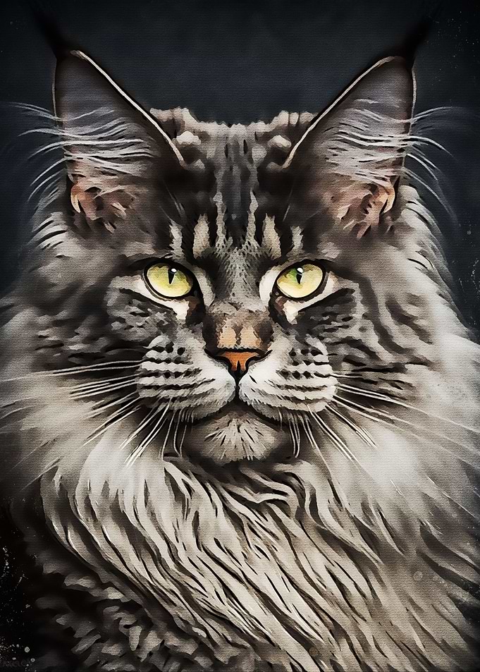 Cute Cat