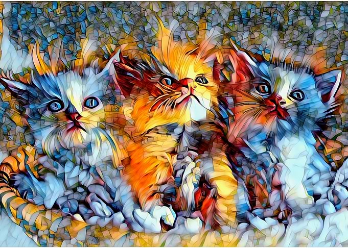 cats cute block