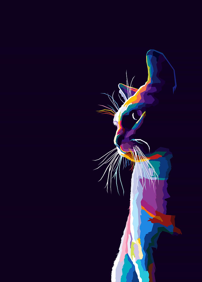 Animals Cat Pop art