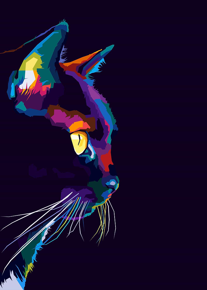 Cat Colorful Pop art