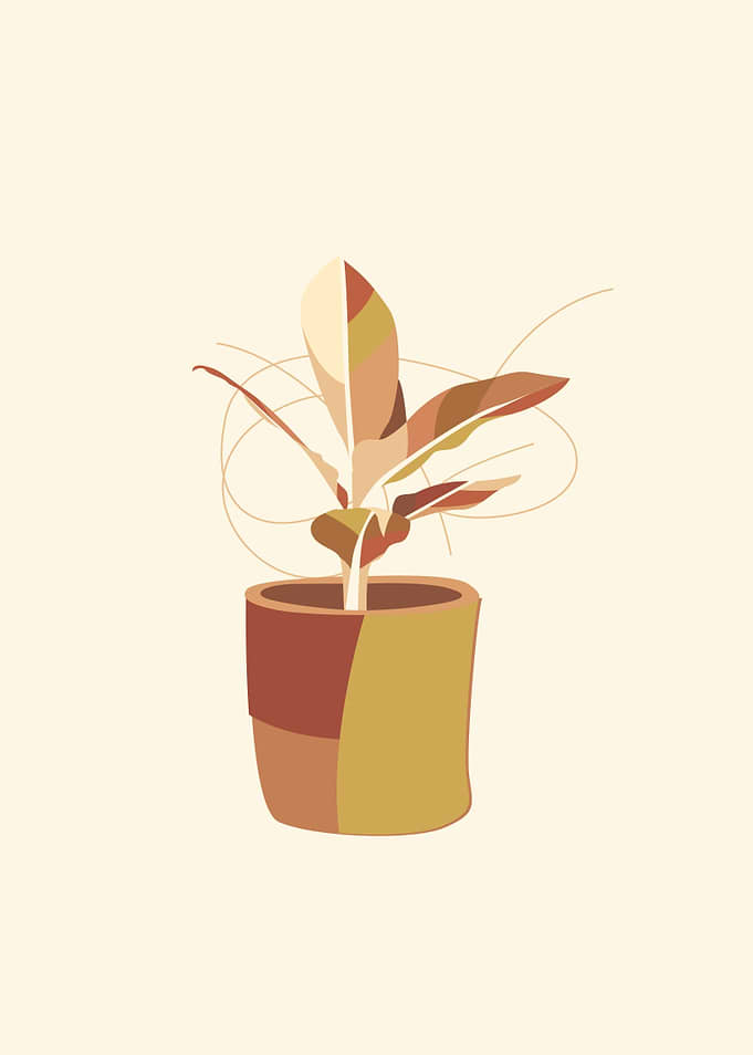 beauty pot
