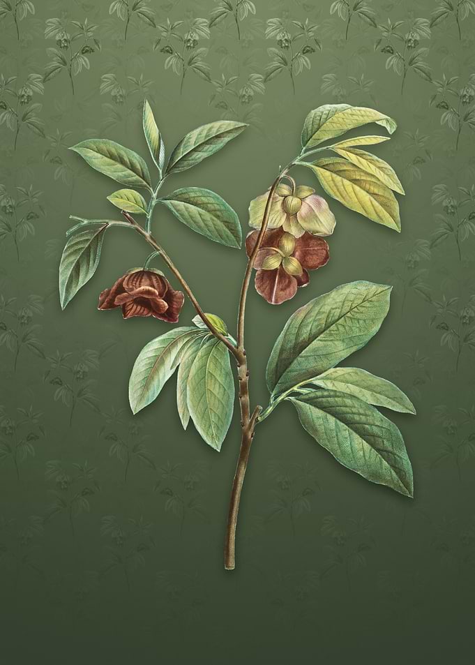 Papaw Tree on Lunar Green