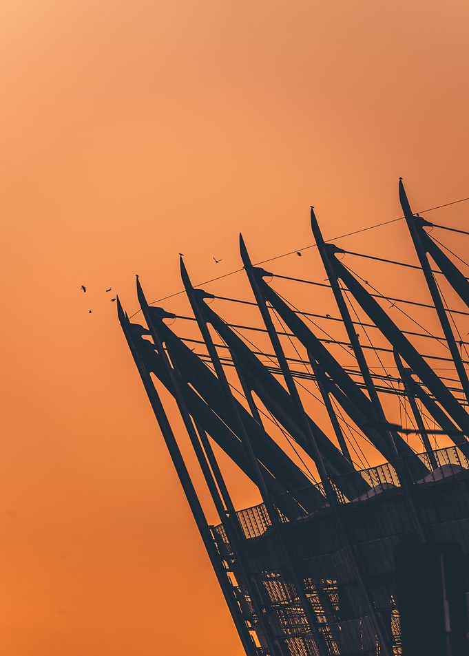 Birds over the stadium