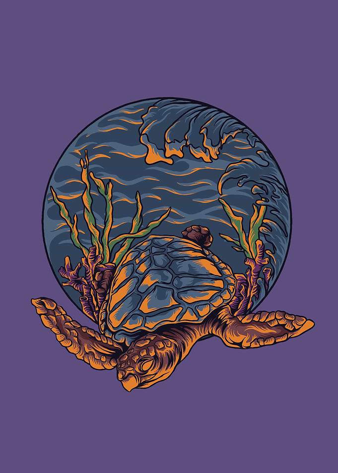 Sea turtle