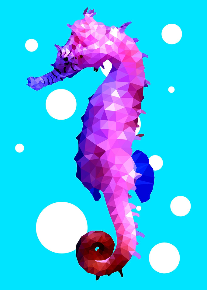 Seahorse