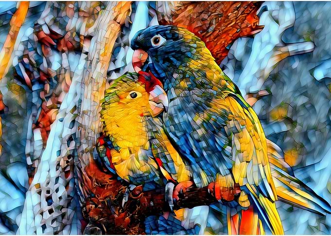 bird color block