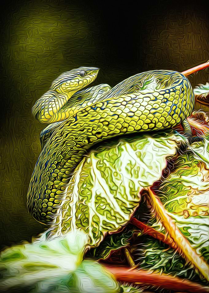 Snake