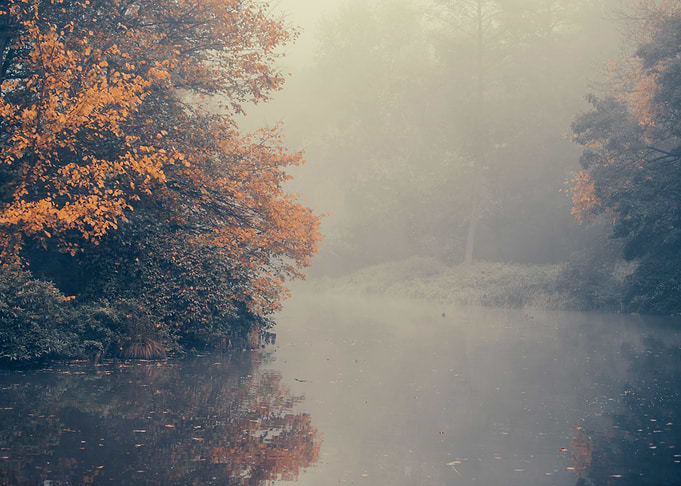 Autumn morning misty park