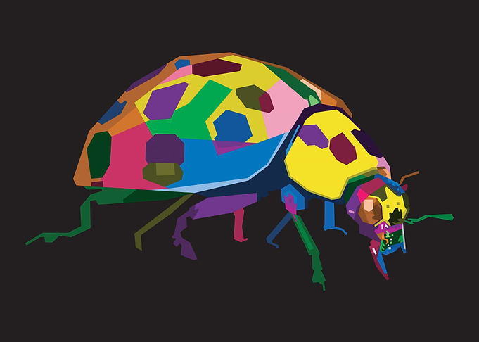 Colorful bee