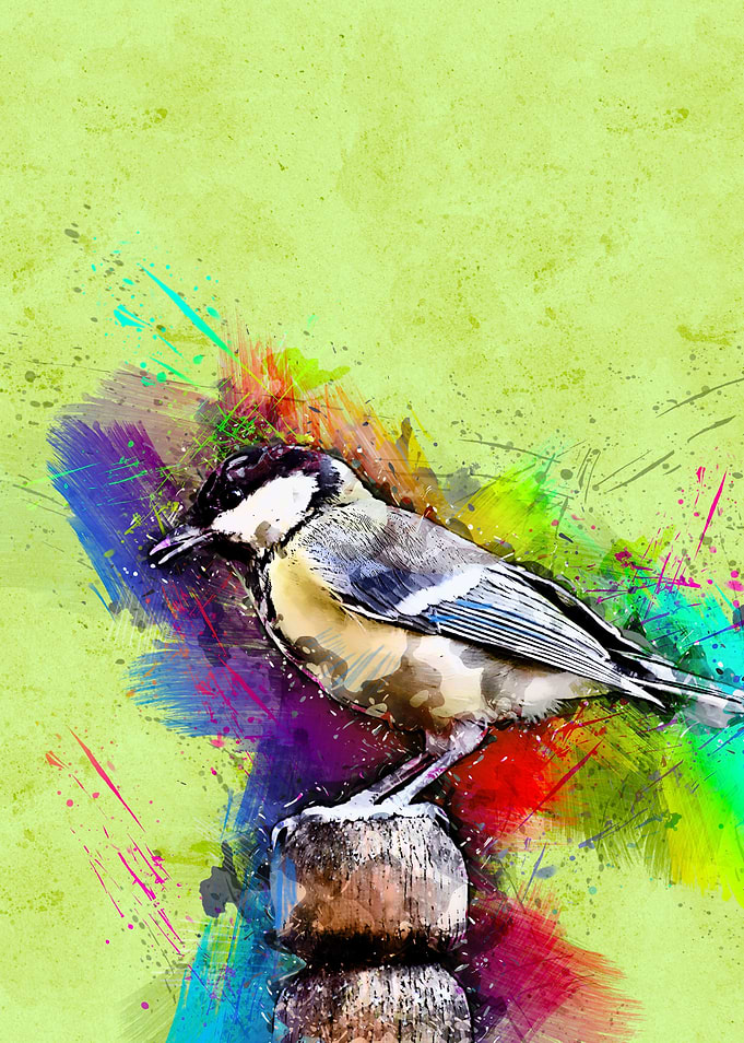Bird 203